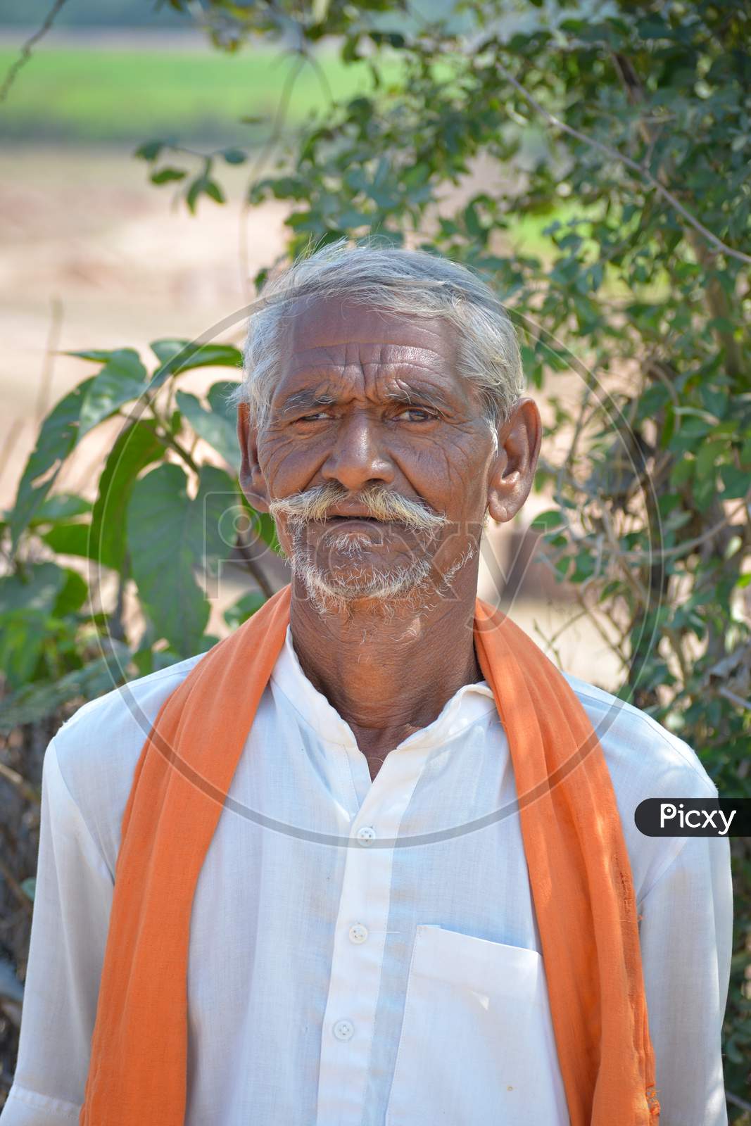 TIKAMGARH, MADHYA PRADESH, INDIA - FEBRUARY 03, 2020: A portrait of old unidentified indian man at his village.