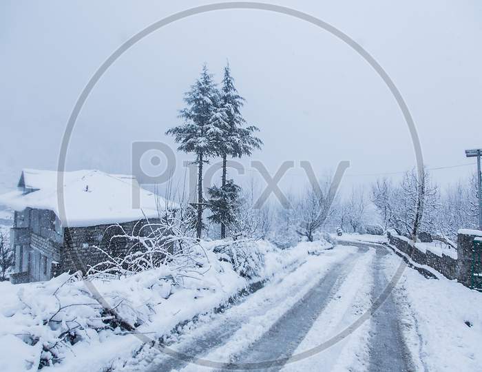 Snow Covered Trees And Houses In The Winter Forest With Road. Winter Road, Just After The Snow Fall. Road Through Frozen Forest With Snow. Beautiful Winter Landscape - Image