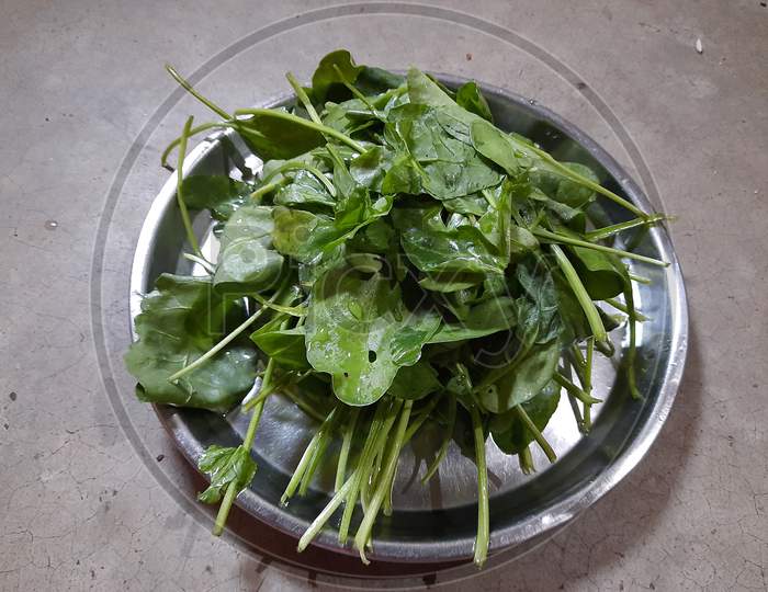 Spinach leaves on plate in white background.