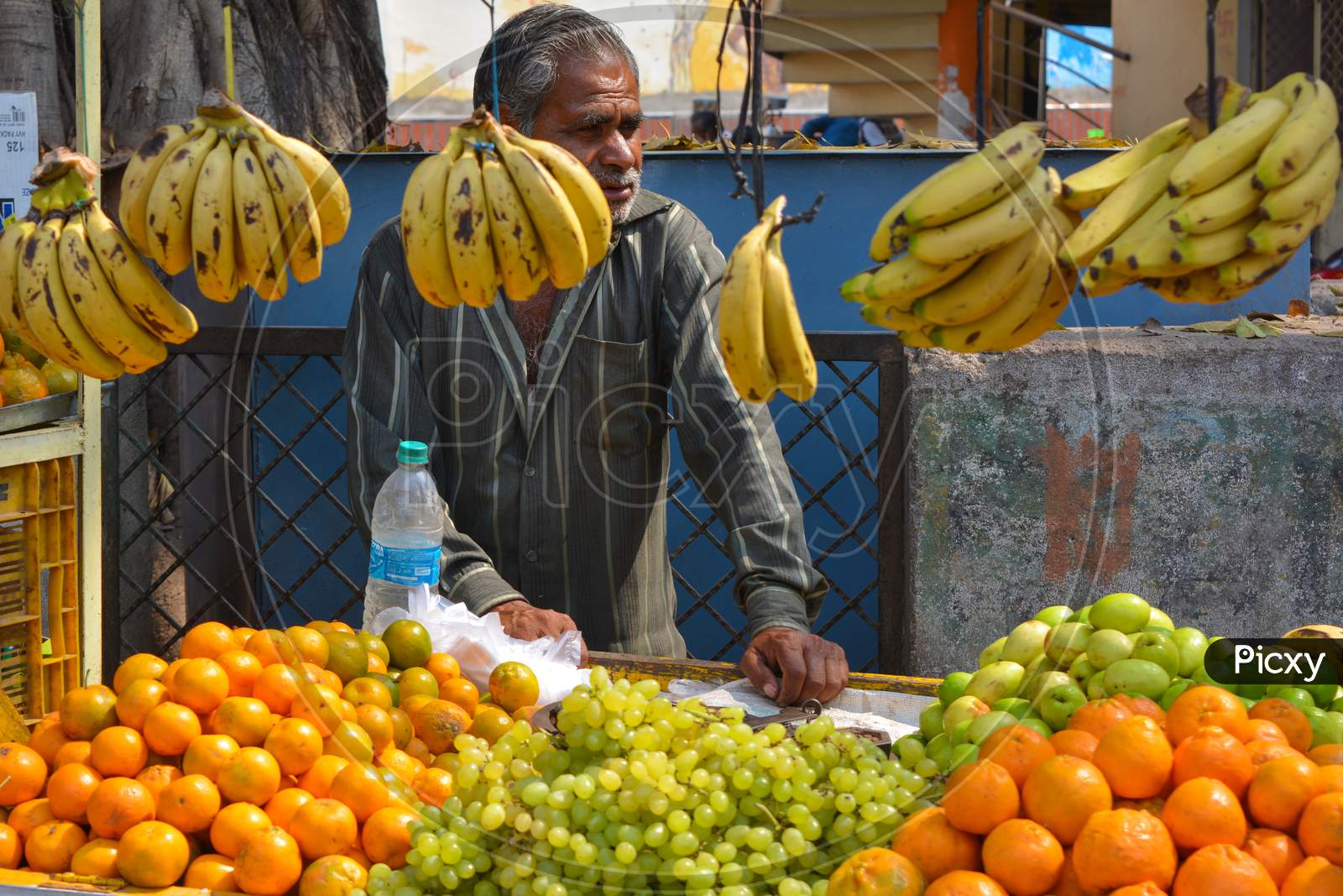 ORCHHA, MADHYA PRADESH, INDIA - MARCH 05, 2020: Unidentified vendor selling fruits on roadside in India.
