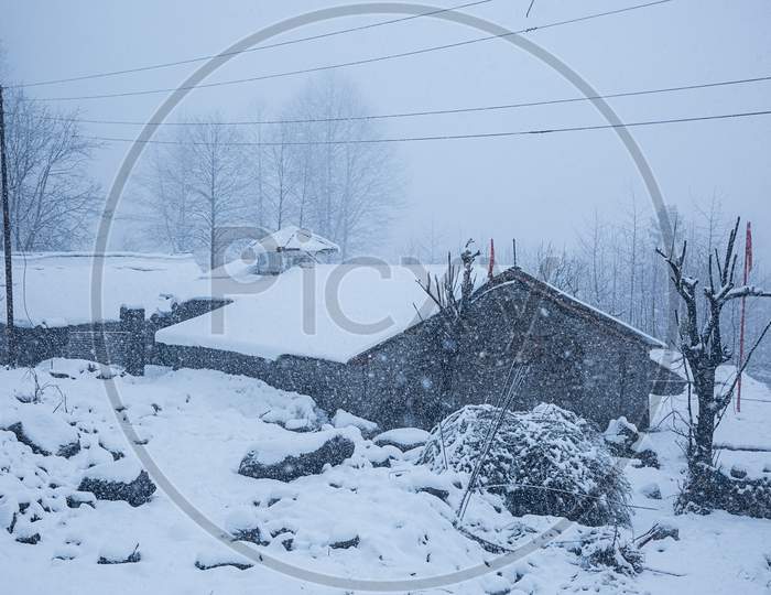 Winter House Covered With Layers Of Snow, Winter Landscape With Trees Covered By Snow, Himachal Prdesh - Image
