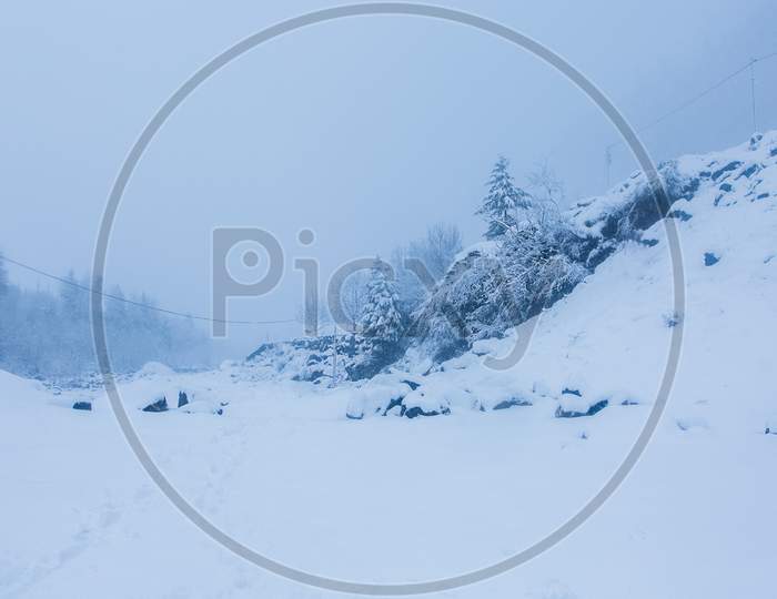 Beautiful Winter Landscape With Forest Ad Trees Covered With White Snow, Snowfall In Himalayan Mountains - Image