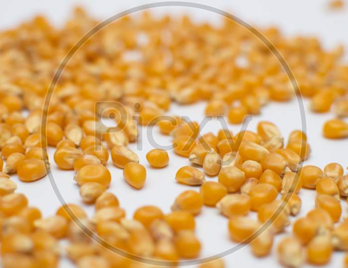 Corns scattered on a white background unevenly