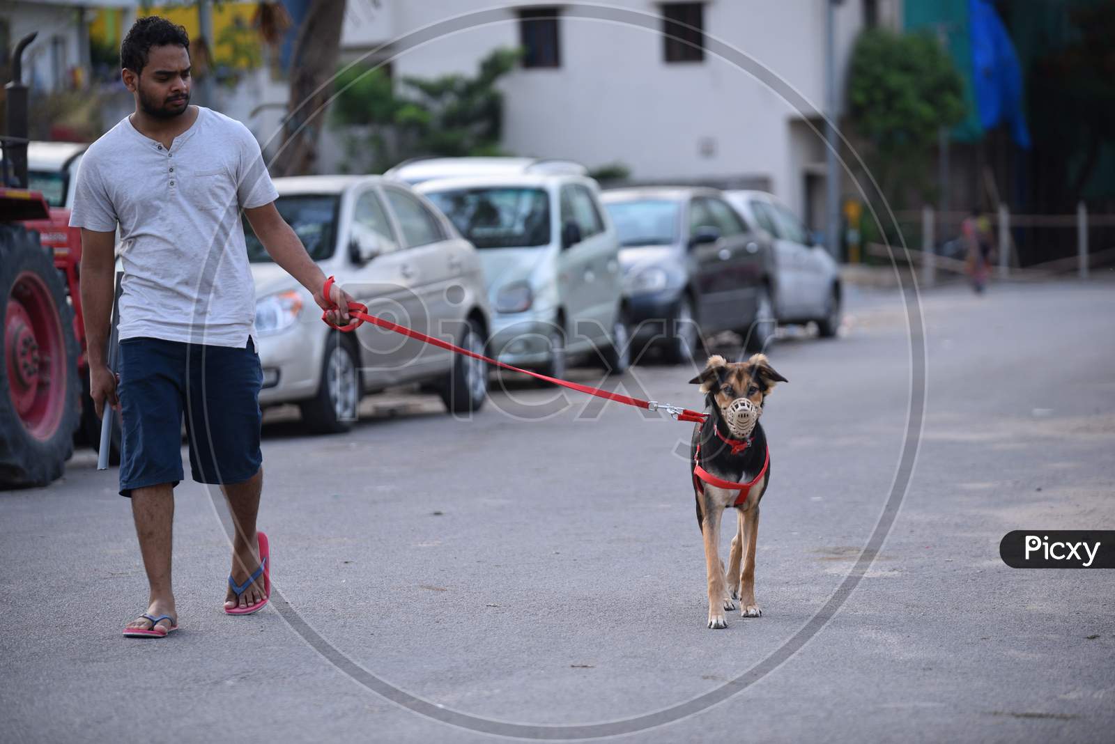 A pet dog's face covered with a mask amid the fears of coronavirus, Hyderabad, May 22, 2020.