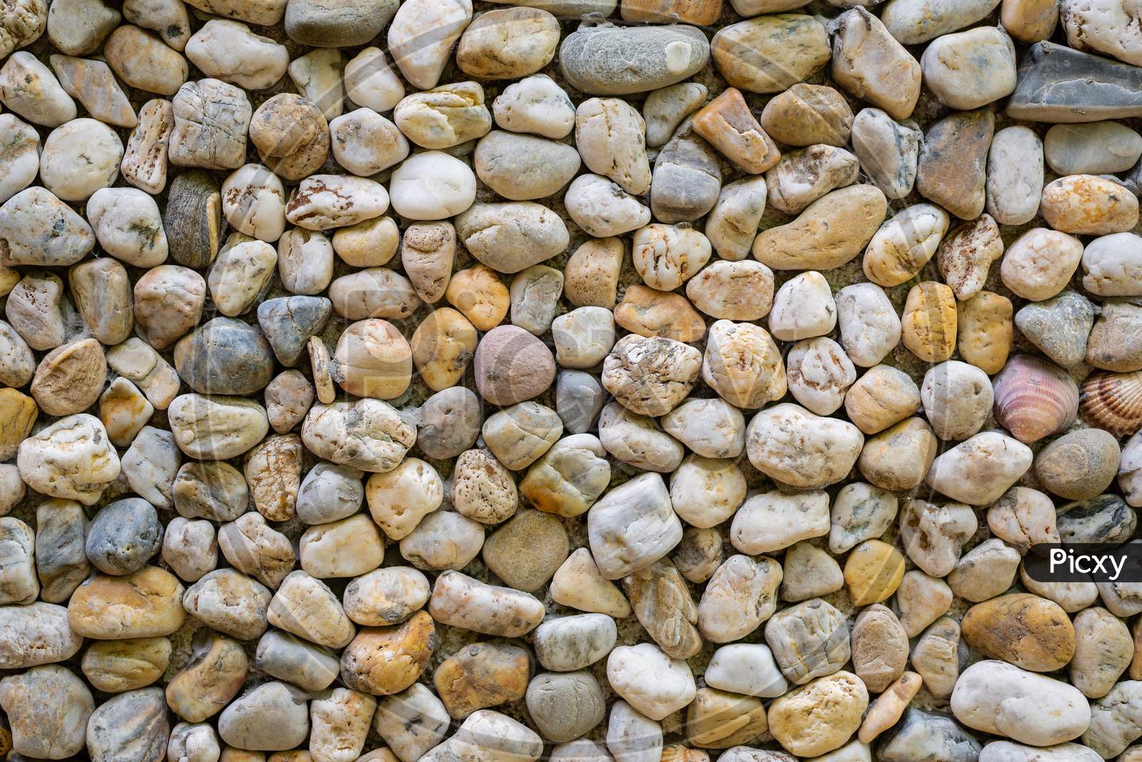 Texture Of A Wall Made Of Sea Stones