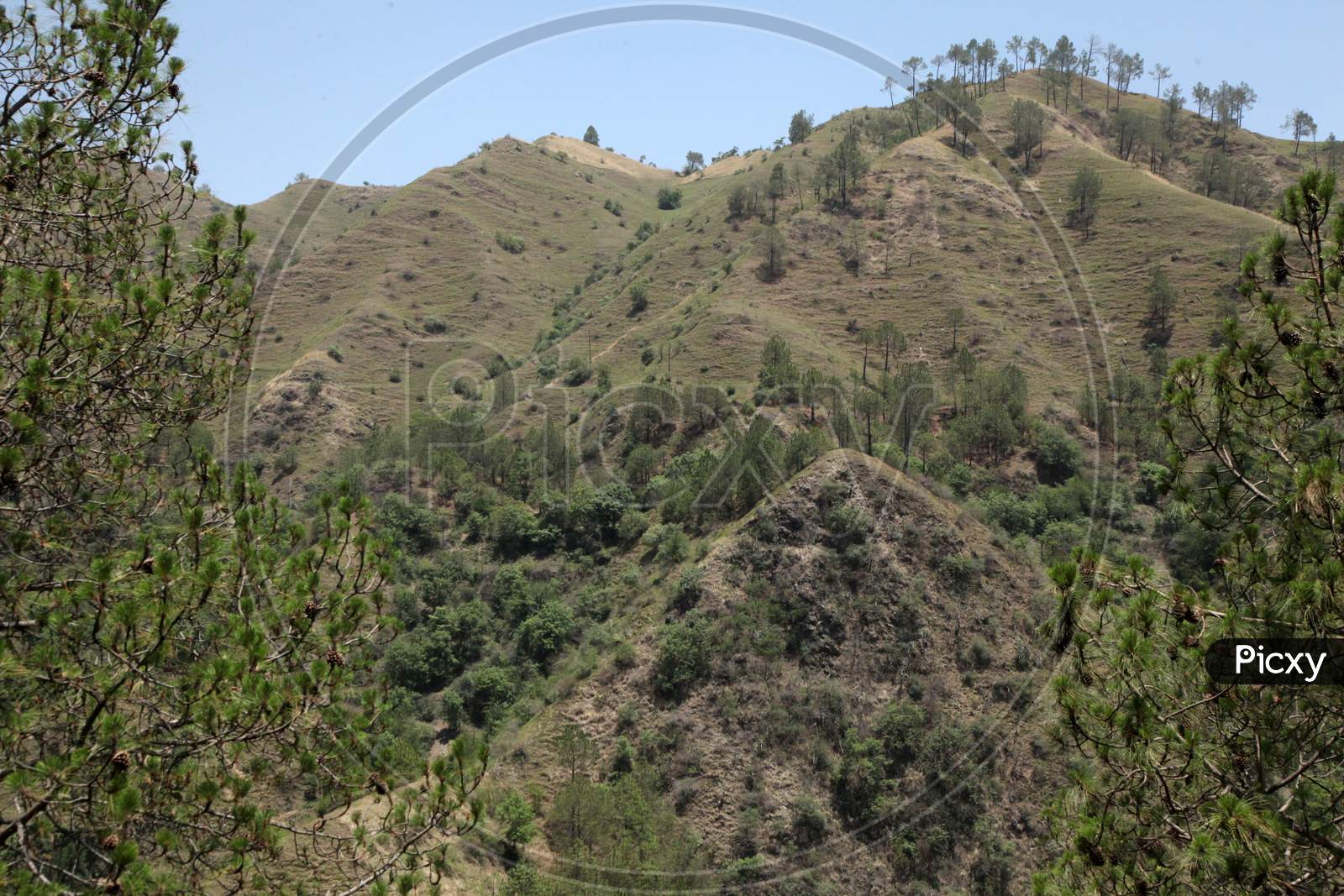 Mountains of Kumarhatti, Himachal Pradesh