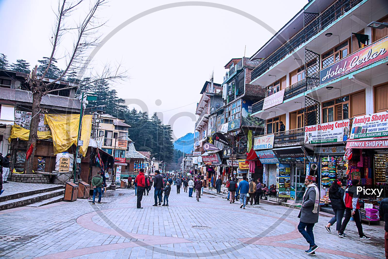 Manali , Himachal Pradsh, India, January 21, 2019: Famous Street Market Mall Road Of Manali - Image