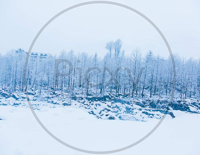 Beautiful Winter Landscape With Forest , Trees And Rive Covered With White Snow, Snowfall In Himalayan Mountains - Image