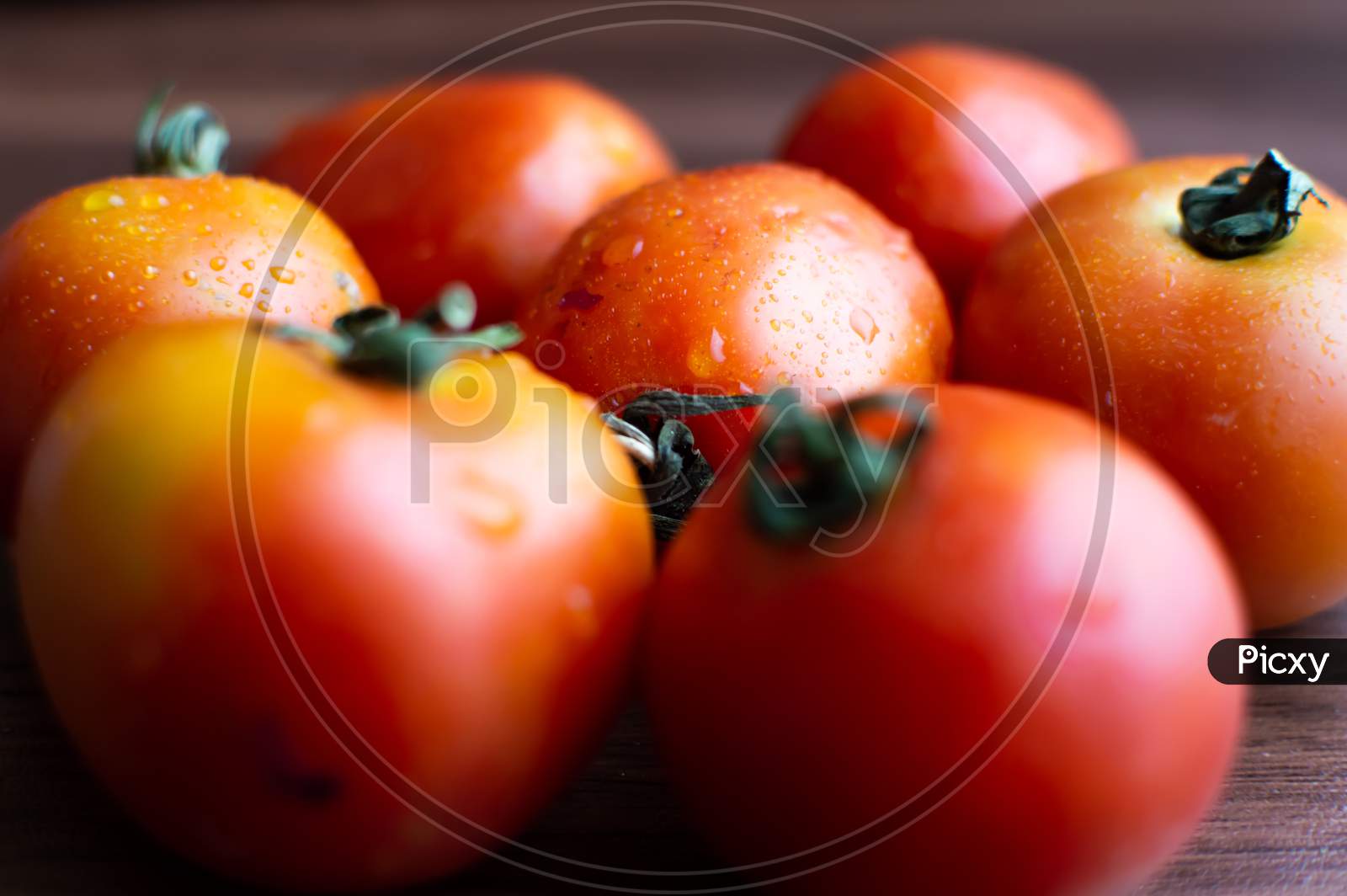 Tomatoes placed together and one is focused