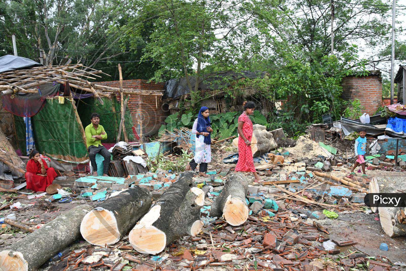 The civil defence officials trying to remove branches of trees fallen heavily crushing three residential houses during Cyclone Amphan in Burdwan town.