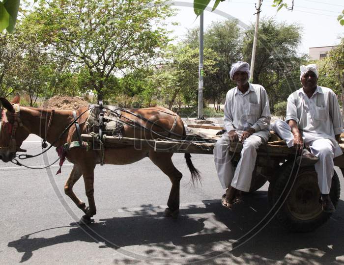 A couple of Old-Aged Men's travelling on a Horse Cart
