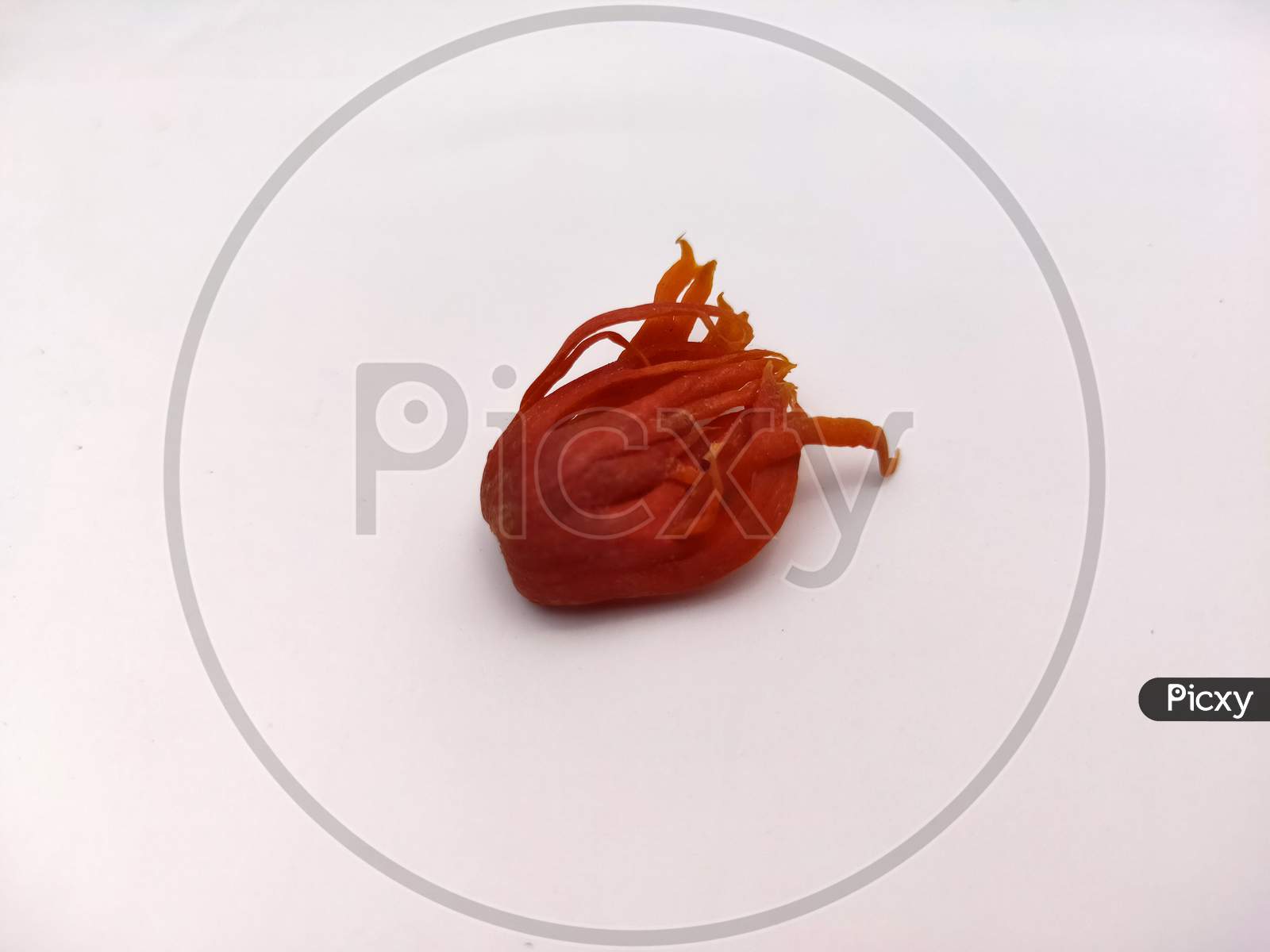 Deep red mace spices isolated in white background.