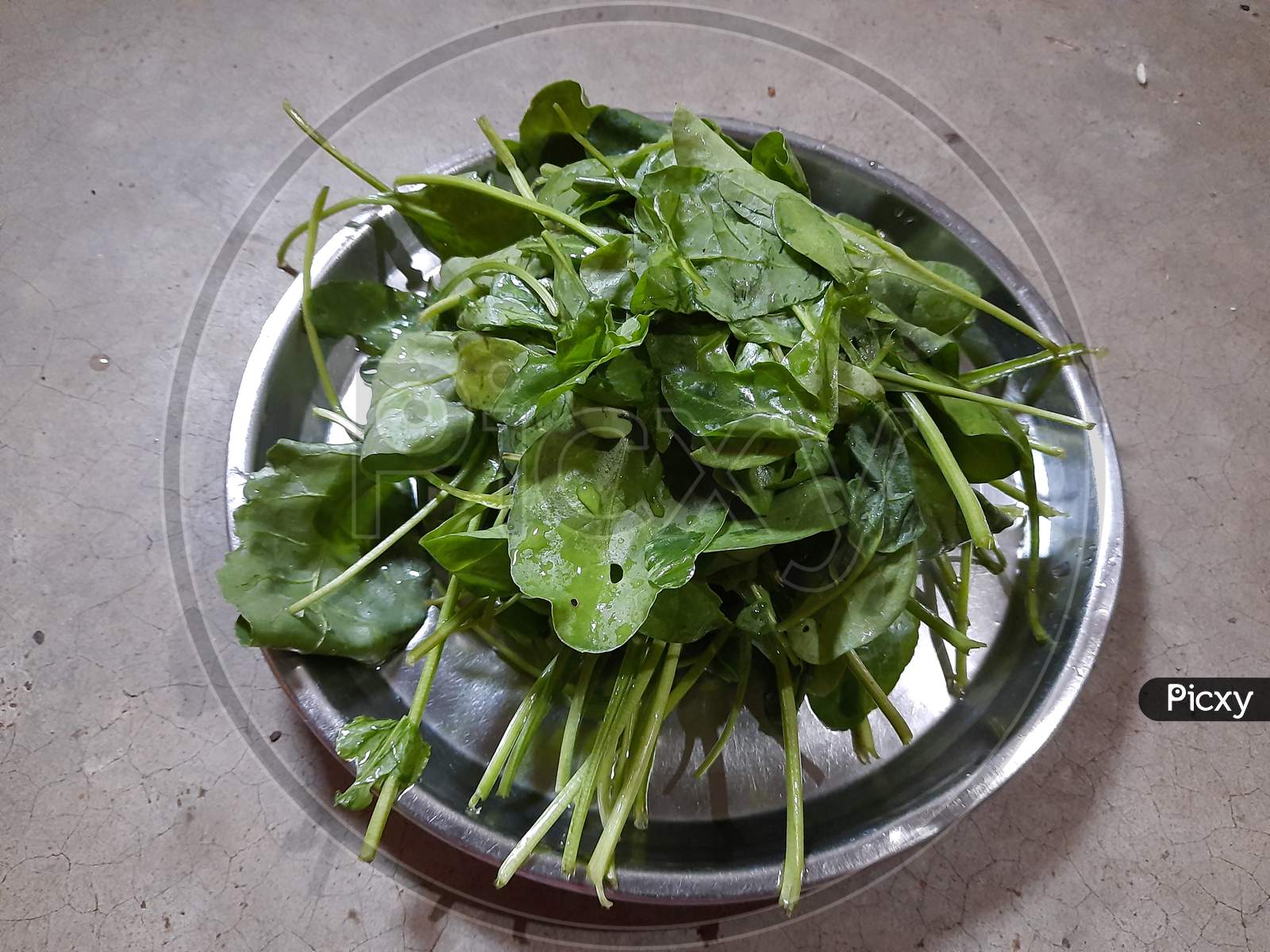 Spinach leaves on plate in white background.