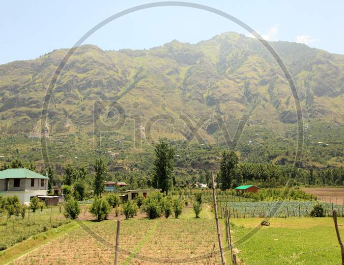 Beautiful Mountains of Himachal Pradesh with agriculture fields in the foreground