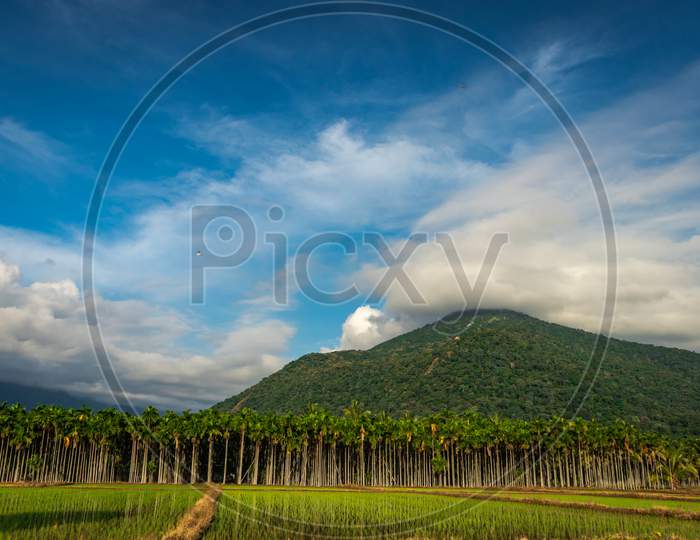 Mountains Velliangiri View With Blue Sky And Green Forest