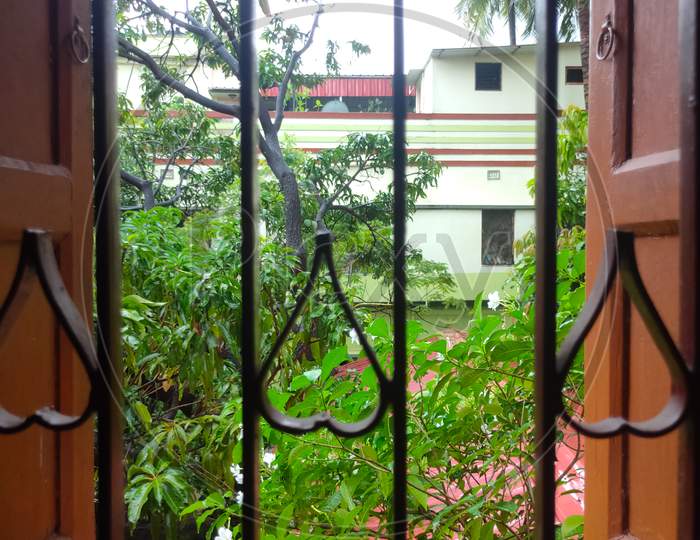 A Small Garden From A Window View During Amphan Cyclone