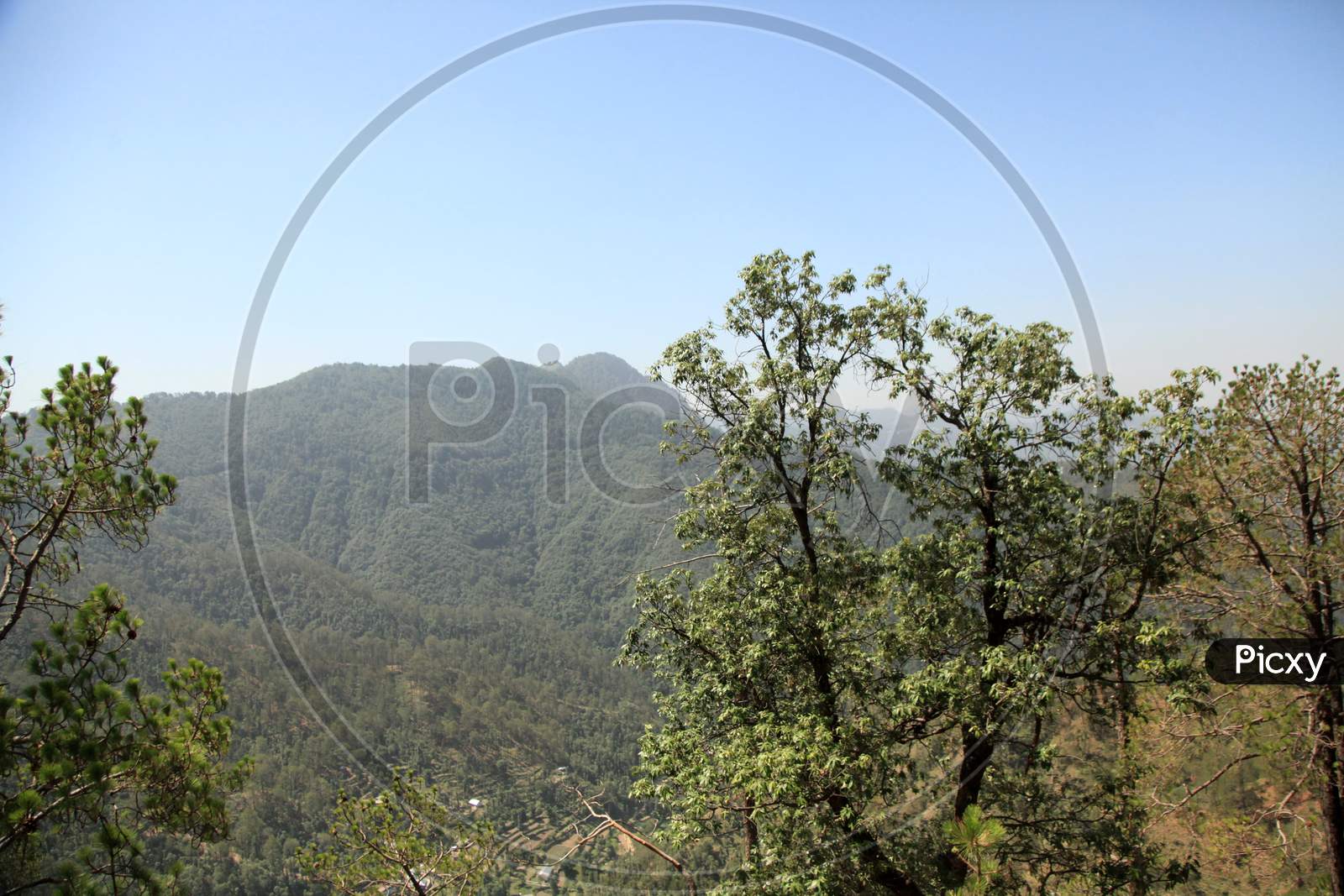 Mountains Of Kumarhatti, Himachal Pradesh
