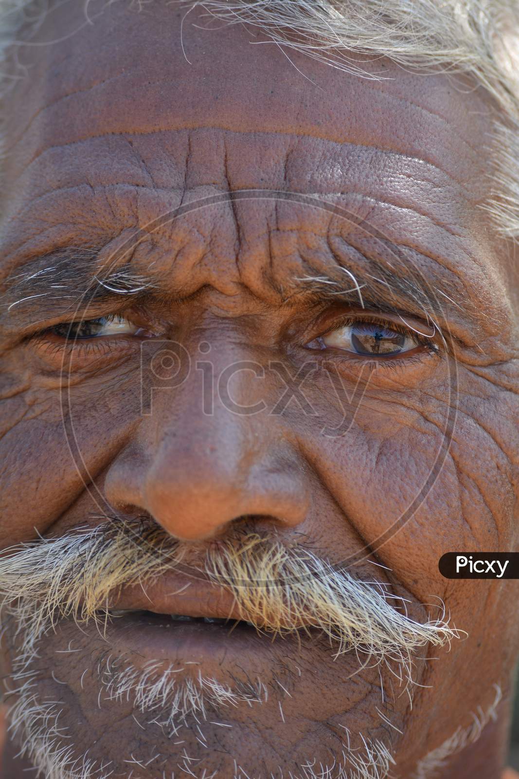 TIKAMGARH, MADHYA PRADESH, INDIA - FEBRUARY 03, 2020: Closeup shot of the eyes of an old man.