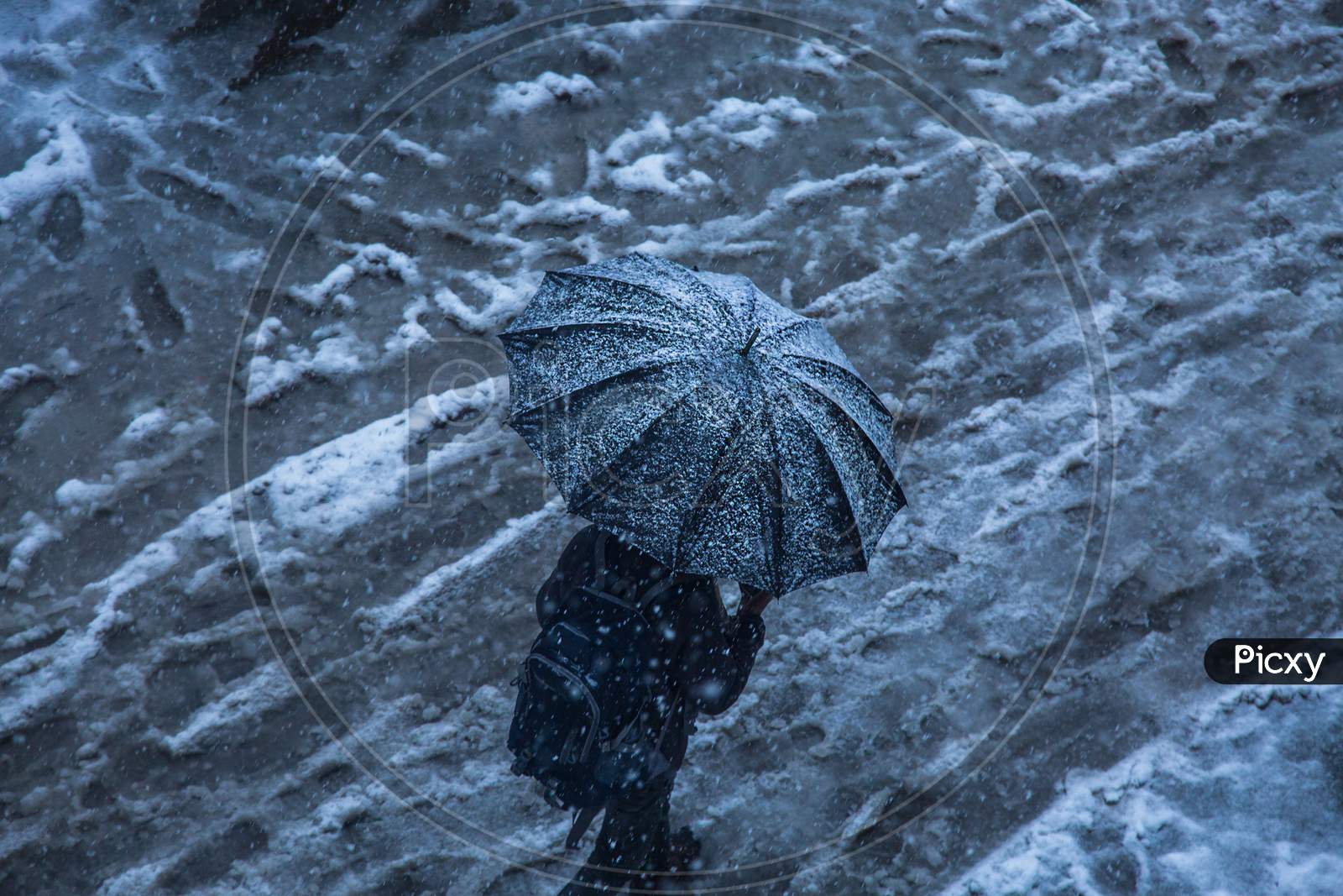 Winter Snow Falling, A Person Walking With Black Umbrella On The Road, Top Angle, Background - Image