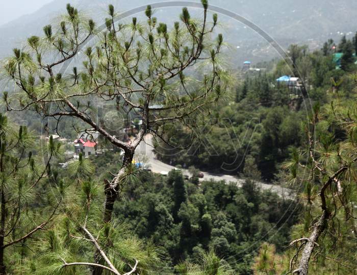 Roadways of Kumarhatti, Himachal Pradesh