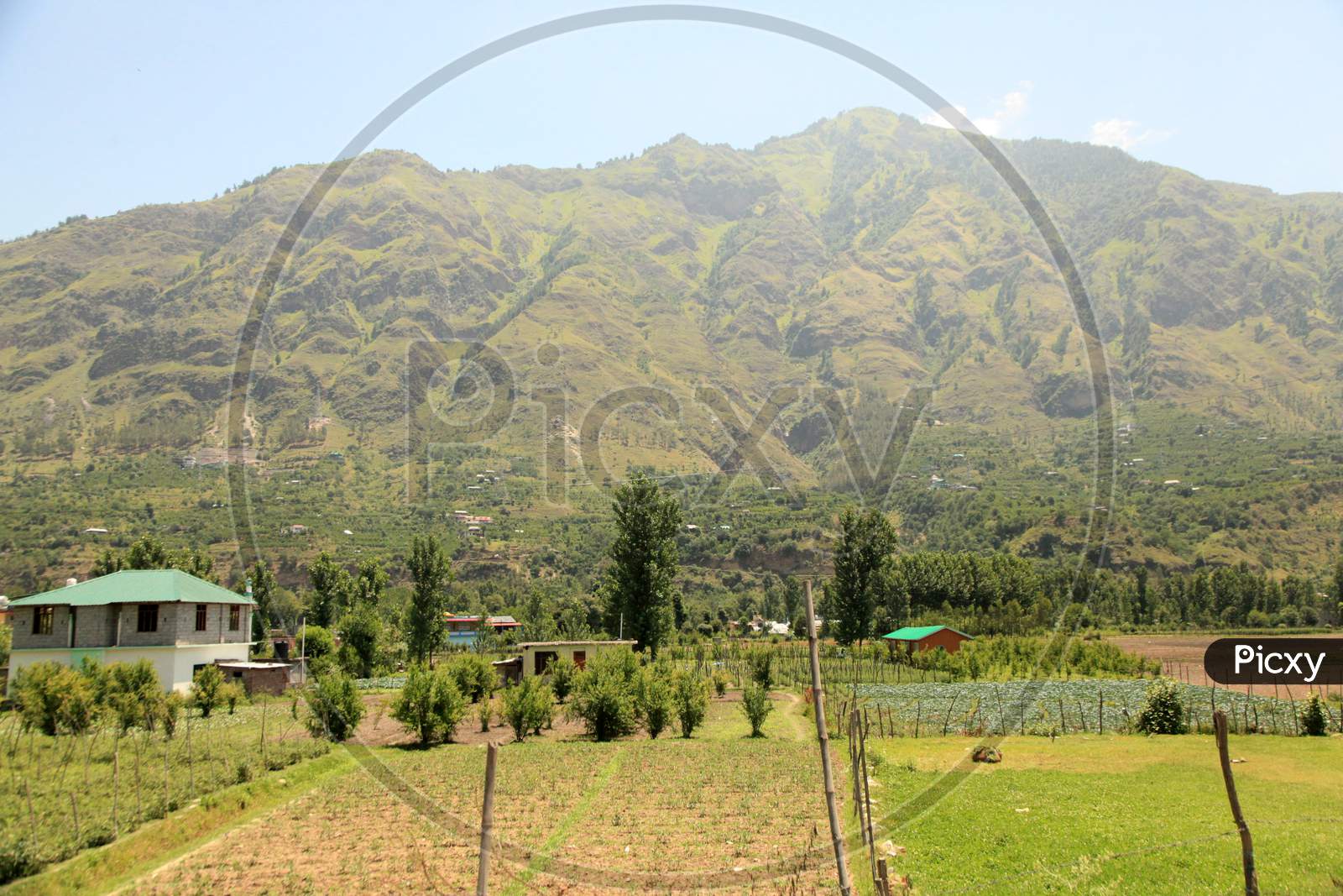 Beautiful Mountains of Himachal Pradesh with agriculture fields in the foreground