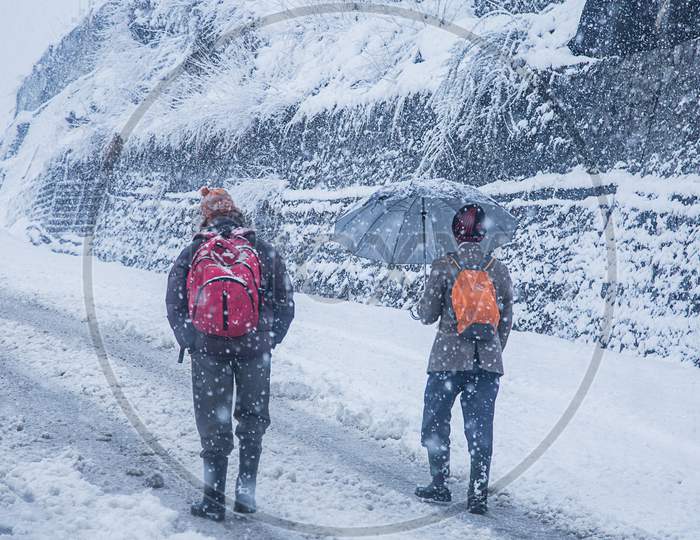 Two Guys Walking At Heavy Snowy Day In The Manali. Adventure, Snowfall Winter Concept - Image