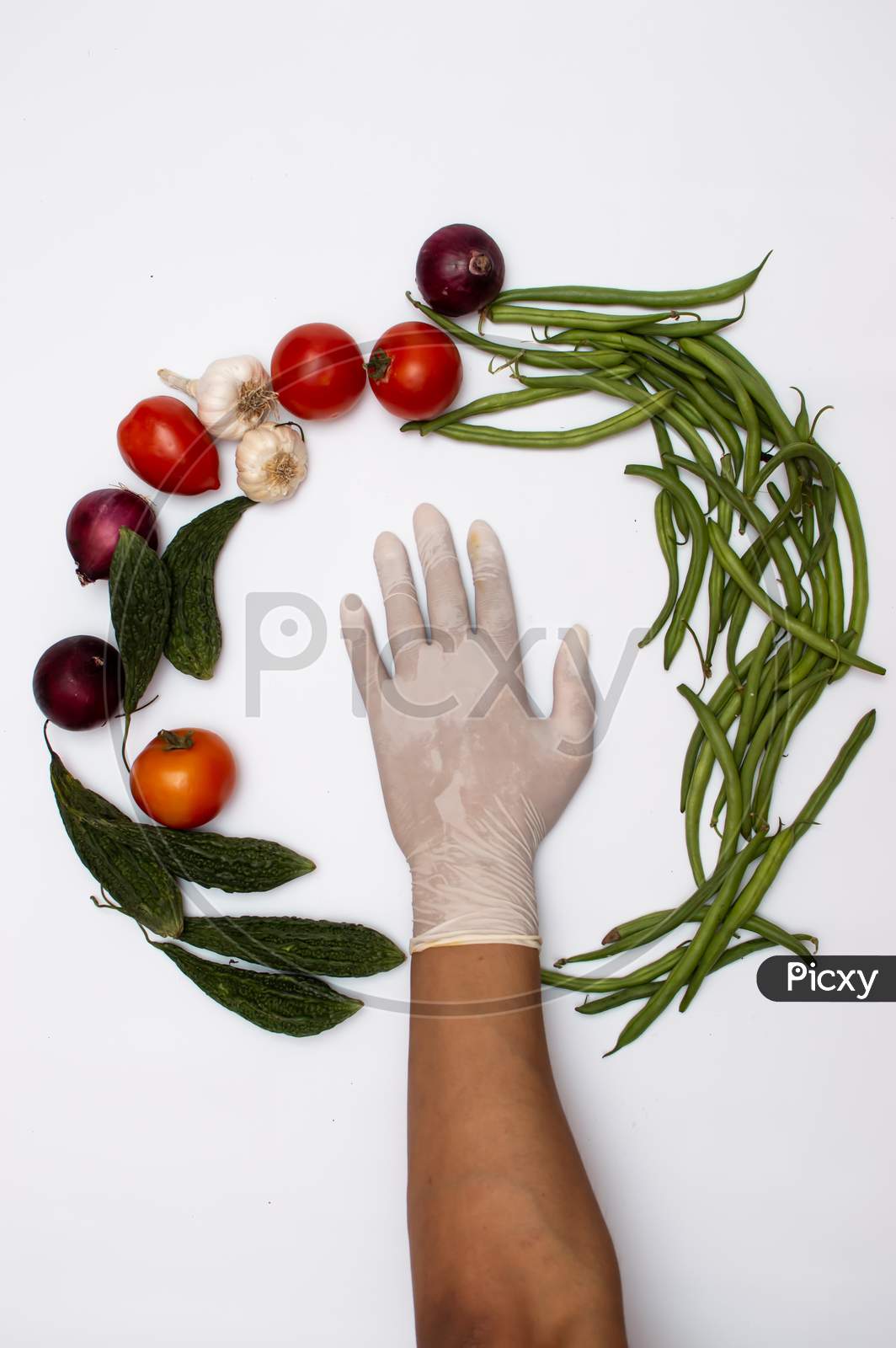 Hand with a glove in between vegetables placed in circle
