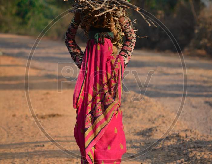 Indian woman carrying wood on head at the road, An Indian rural scene.