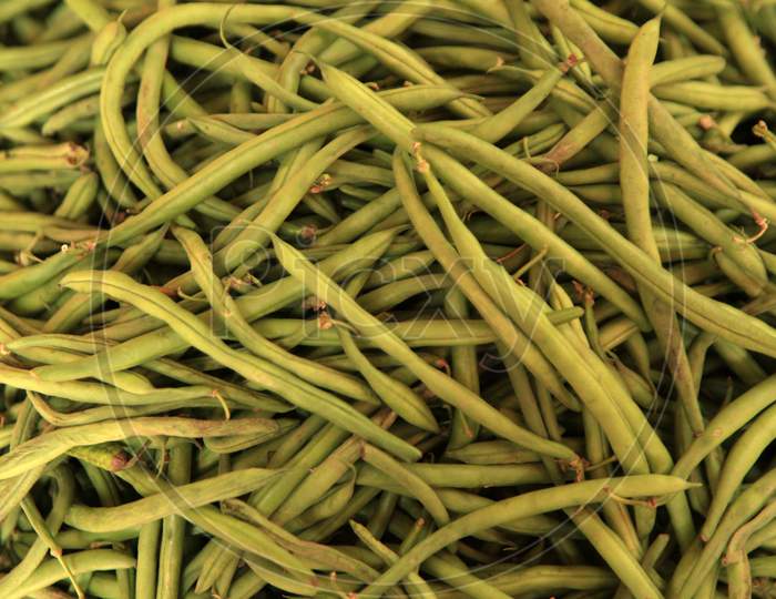 bush beans vegetable