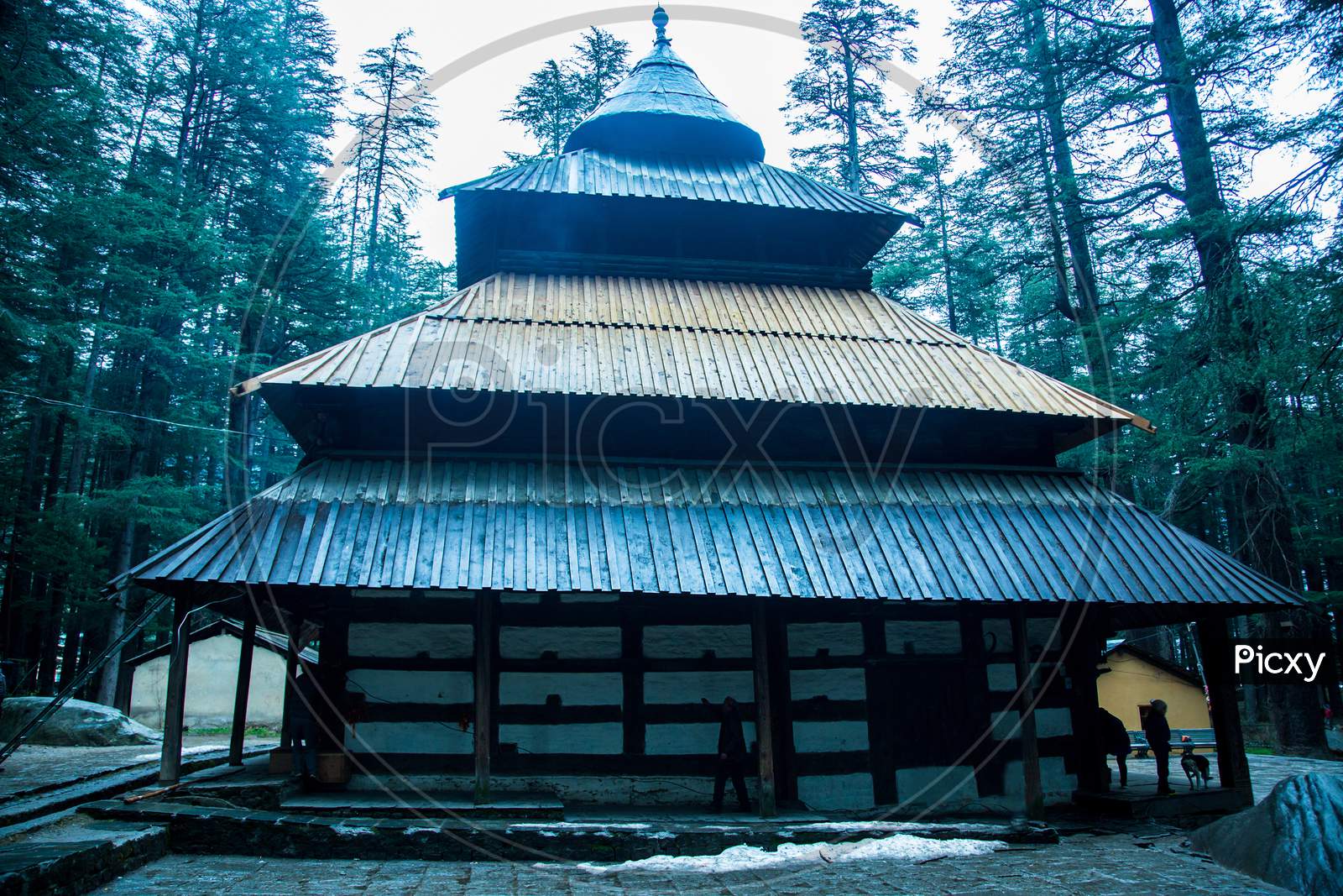 Back View Of Hadimba Temple In Manali, One Of The Oldest And Most Impressive Wooden Temple In India, Surrounded By Forest , Background - Image