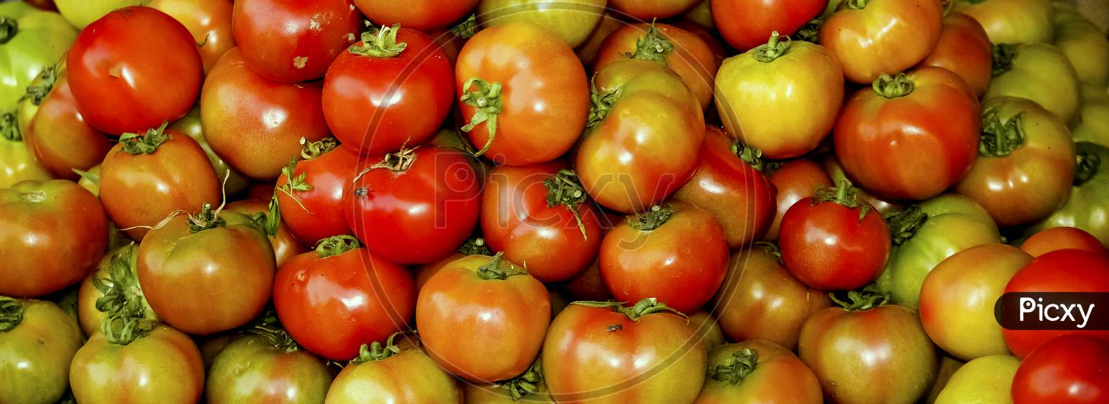 Tomatoes For Selling, Perfect For Wallpaper And Background