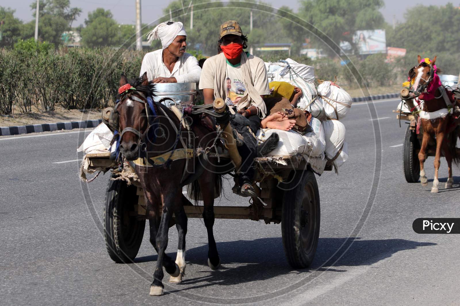 Migrant Families Travelling On Horse Carts To Their Native Places On Jaipur-Ajmer National Highway During Extended Nationwide Lockdown Amidst Coronavirus Or COVID-19 Pandemic in Jaipur On May 21, 2020
