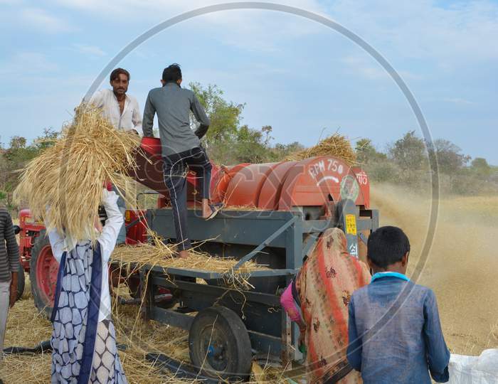 TIKAMGARH, MADHYA PRADESH, INDIA - MARCH 24, 2020: Indian farmers separating husk and wheat grains from the chopped wheat using a thresher machine.