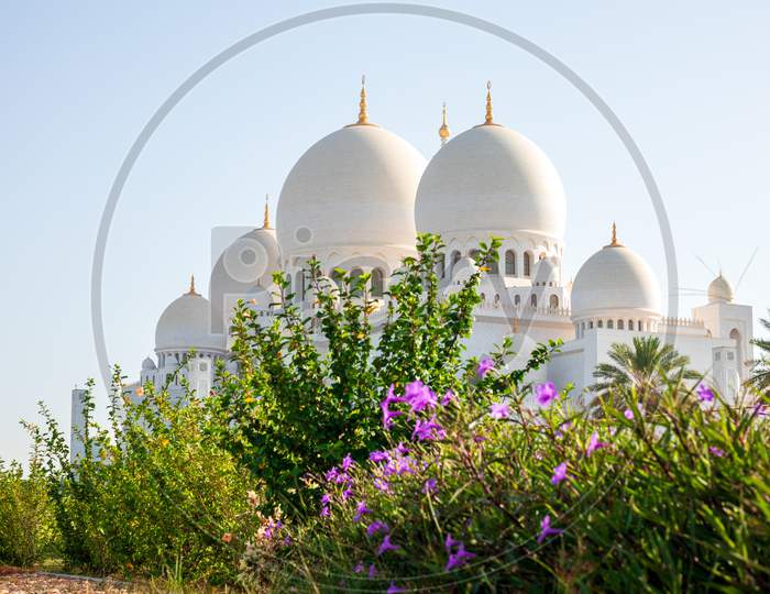 Sheikh Zayed Grand Mosque In Abu Dhabi, Uae