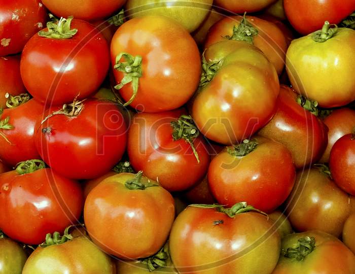 Tomatoes For Selling, Perfect For Wallpaper And Background
