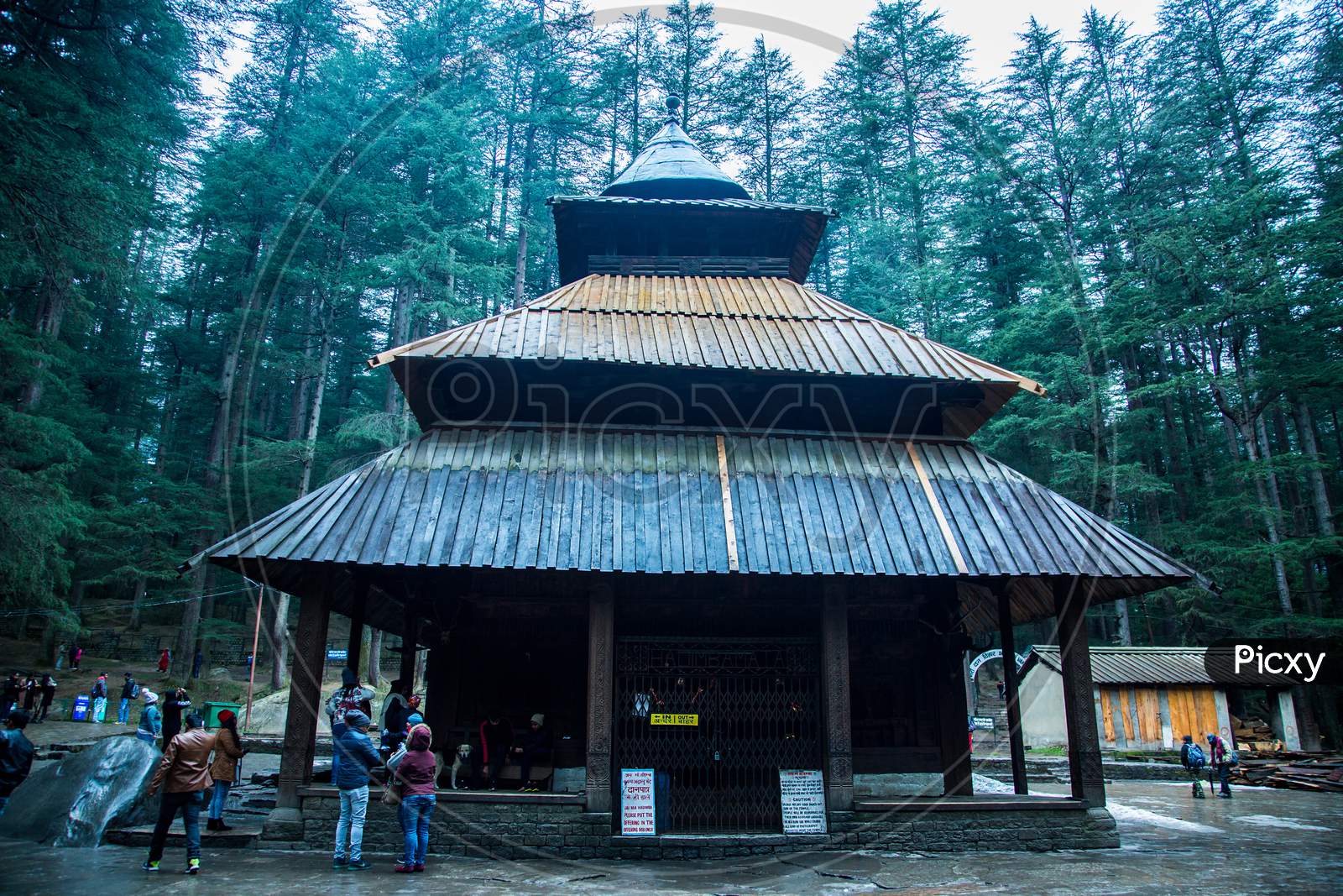 Manali , Himachal Pradsh, India, January 21, 2019 : Front View Of Hidimba Devi Temple, One Of The Oldest And Most Impressive Wooden Temple In India, Surround By Forest , Background - Image
