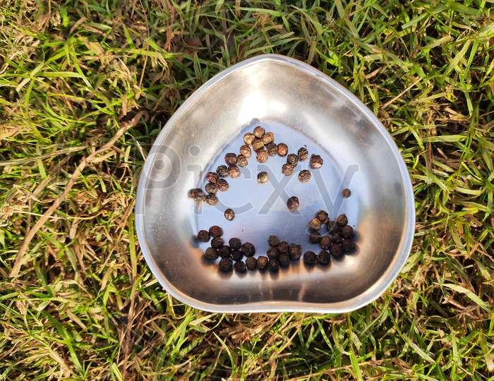 Black pepper on  plate in  green grass background.