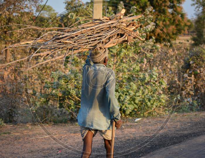 TIKAMGARH, MADHYA PRADESH, INDIA - MARCH 24, 2020: Unidentified rural old age man carrying firewood on road.