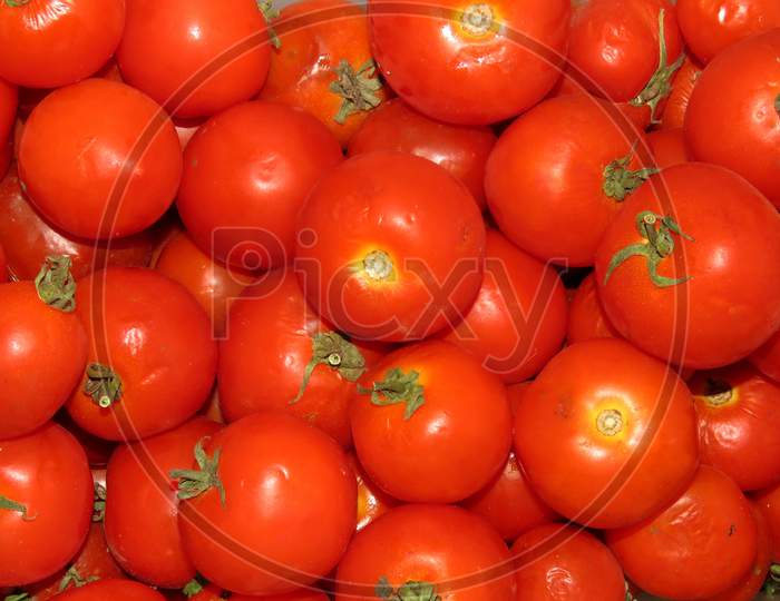 Tomatoes on Market,Fresh Tomatoes for Sale.Isolated Tomatoes.