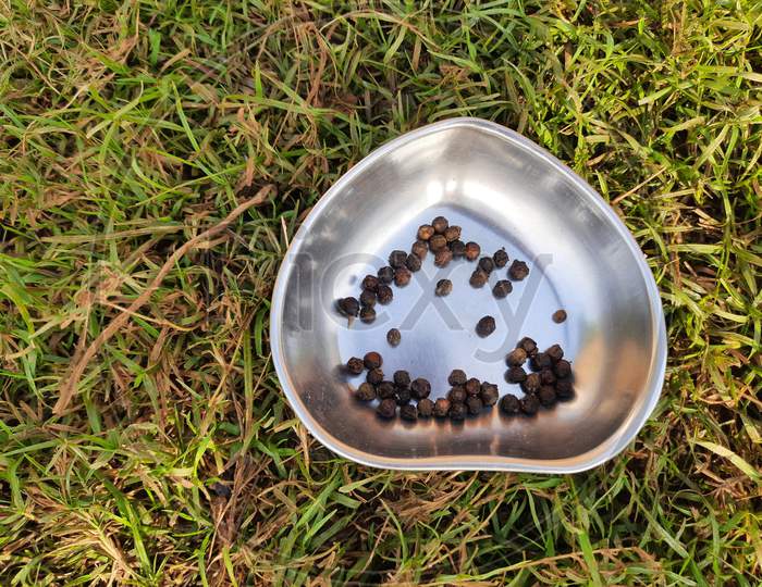 Black pepper on  plate in  green grass background.