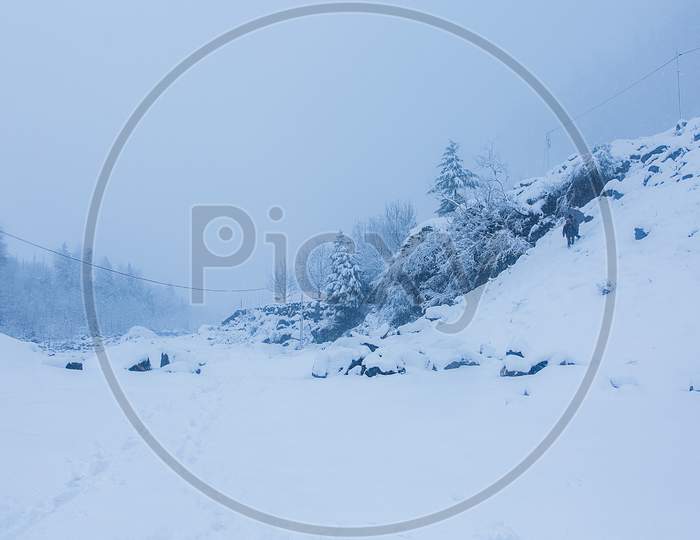 Beautiful Winter Landscape With Forest Ad Trees Covered With White Snow, Snowfall In Himalayan Mountains, Bad Weather - Image