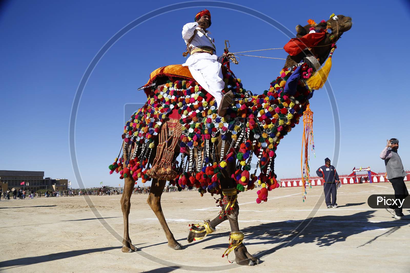 Rajasthani Artists In Traditional Wear And Riding On Camesl During Jaisalmer Desert Festival, Rajasthan, India