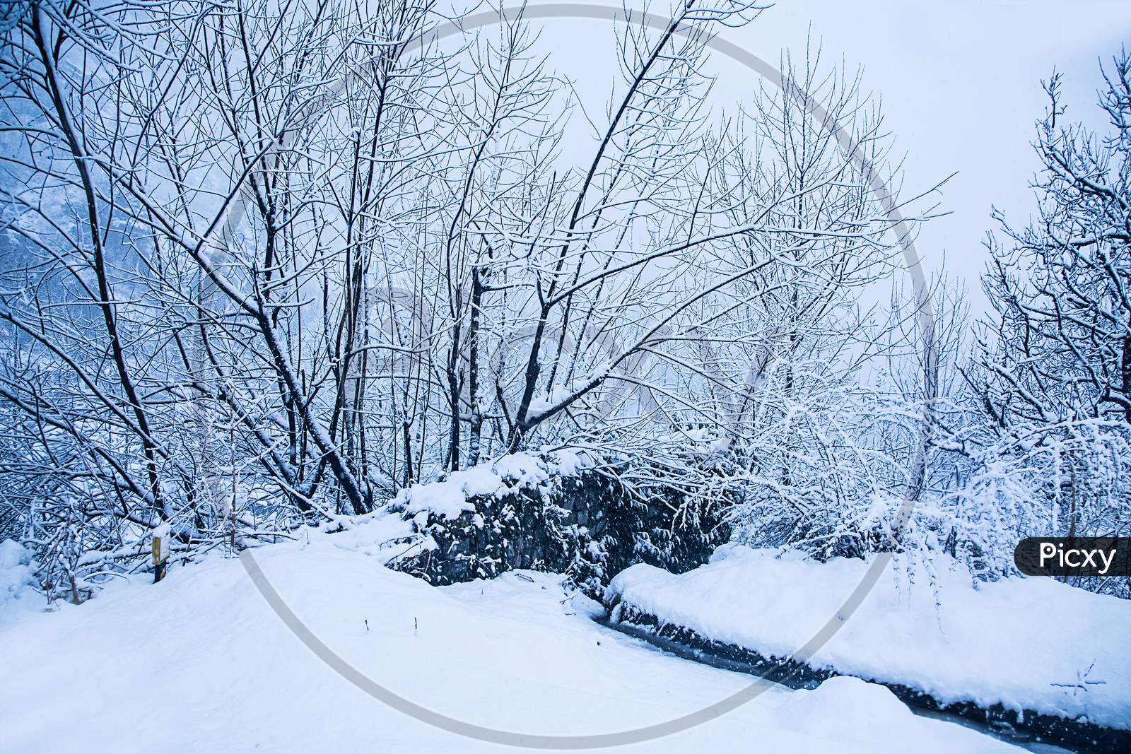 Image of Snow Covered Trees In The Winter Forest With Road. Winter Road,  Just After The Snow Fall. Beautiful Winter Landscape - Image-YD281556-Picxy