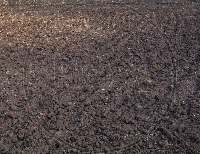 A Farm Land In India Plowed For Sowing Before The Monsoon Starts