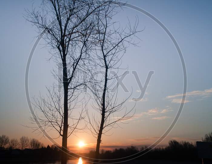 Two Trees With Sun In Background