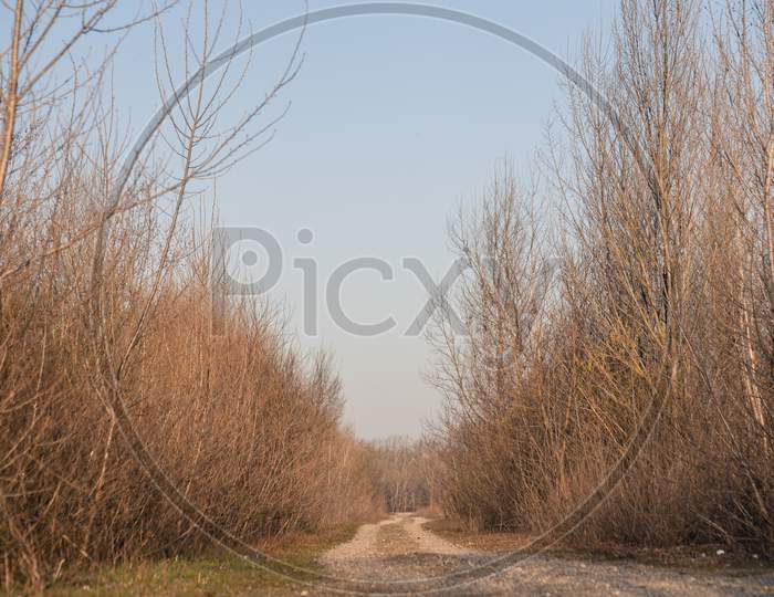 Long Straight Country Road