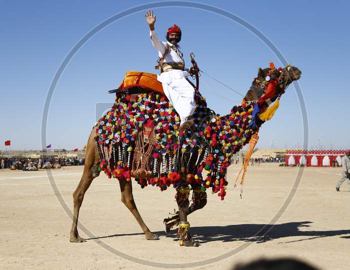 Rajasthani Artists In Traditional Wear And Riding On Camesl During Jaisalmer Desert Festival, Rajasthan, India