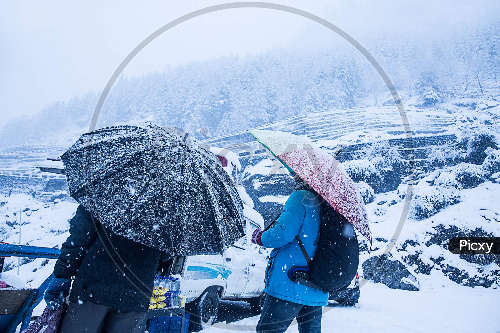 Two Guys With Umbrella Walking At Heavy Snowy Day In The Himachal. Snowfall Winter Concept, Wide Angle Shot - Image