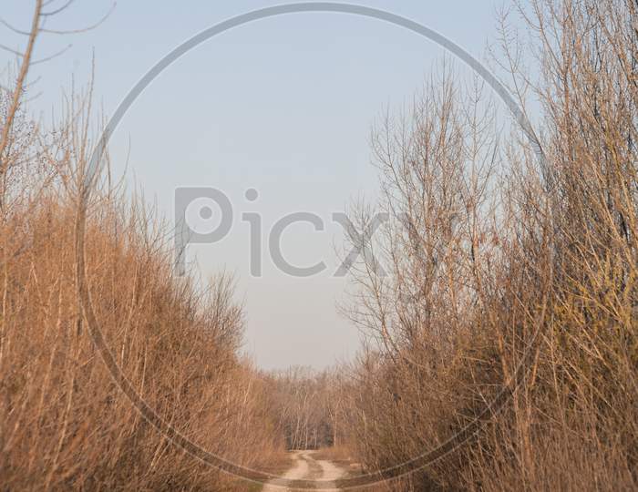 Long Straight Country Road