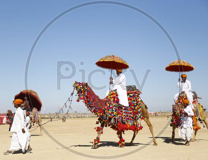 Rajasthani Artists In Traditional Wear And Riding On Camesl During Jaisalmer Desert Festival, Rajasthan, India